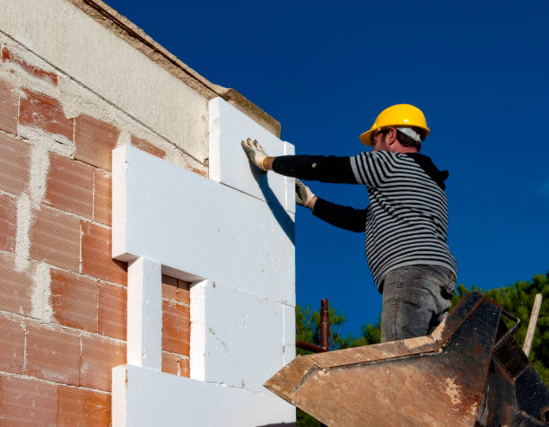 Best Residential Insulation in Eslon, CA