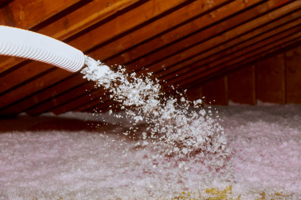 Best Types of Insulation in Eslon, CA