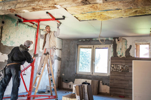 Best Commercial Insulation in Eslon, CA
